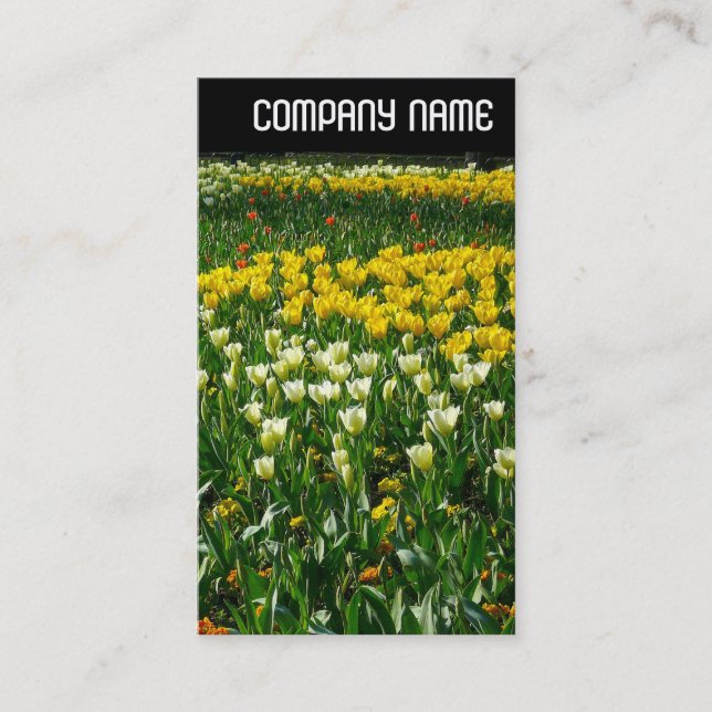 Carte De Visite En-tête V - Fleurs de ressort (Devant)