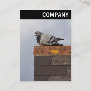 Carte De Visite En-tête V - Good Morning Pigeon