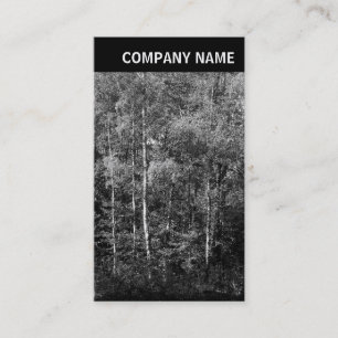 Carte De Visite En-tête V - Image - Hêtres