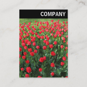 Carte De Visite En-tête V - Lit de Rouges Tulipes 01