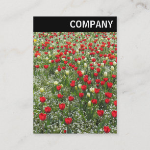 Carte De Visite En-tête V - Lit de tulipes
