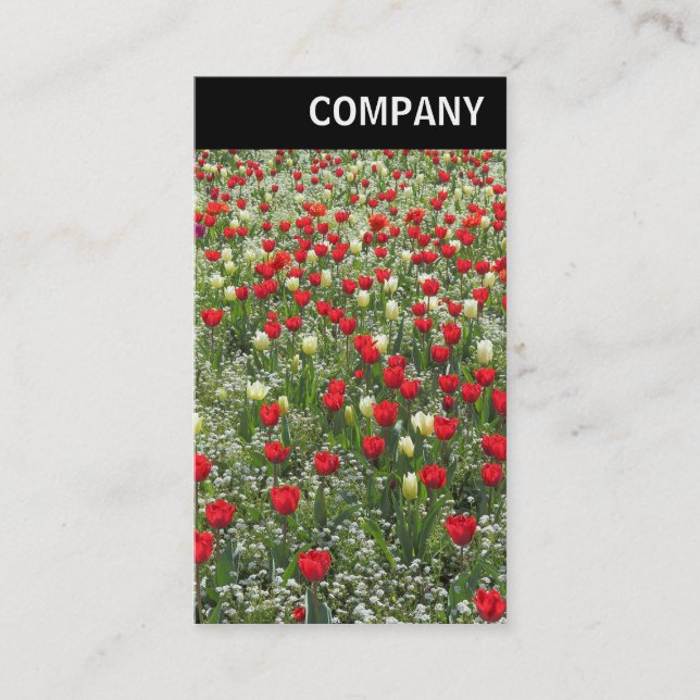 Carte De Visite En-tête V - Lit de tulipes (Devant)