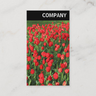 Carte De Visite En-tête V - Lit de Tulipes Rouges 02