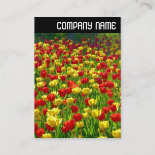 Carte De Visite En-tête V - Mer des Tulipes