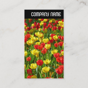 Carte De Visite En-tête V - Mer des Tulipes III