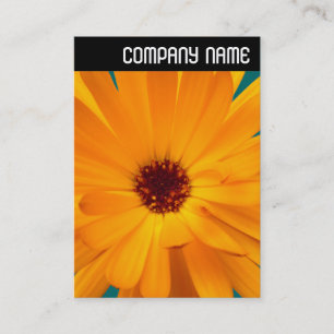 Carte De Visite En-tête V - Orange Marigold