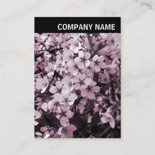 Carte De Visite En-tête V - Photo - Fleur de cerisiers