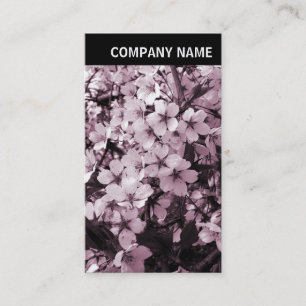 Carte De Visite En-tête V - Photo - Fleur de cerisiers