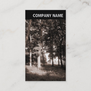 Carte De Visite En-tête V - Photo - Paysage du parc