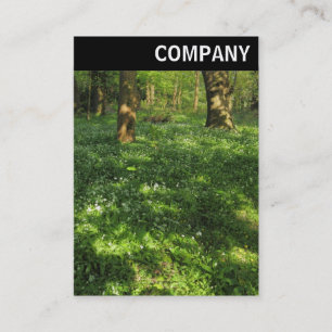 Carte De Visite En-tête V - Printemps dans les bois