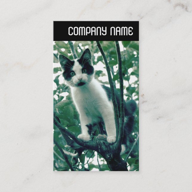 Carte De Visite En-tête V - Superfluence de la méchanceté (Devant)