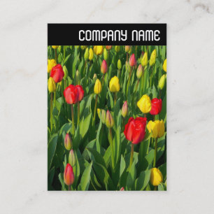 Carte De Visite En-tête V - Tulipes colorées II