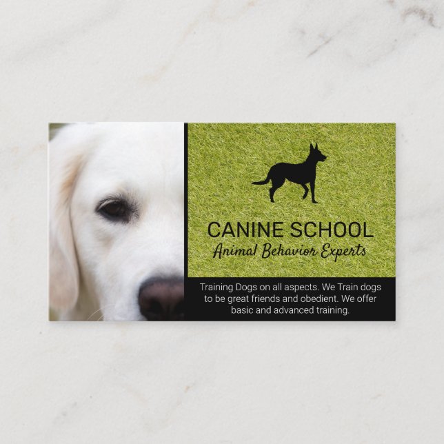 Carte De Visite Entraîneur de chiens | Comportement animal (Devant)