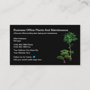 Carte De Visite Entretien Et Location De Plantes De Bureau
