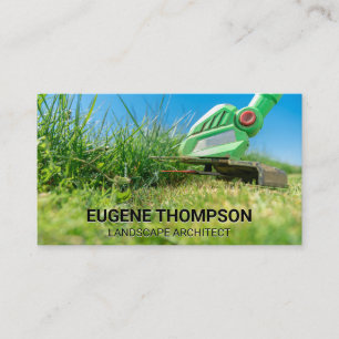 Carte De Visite Épave-herbe à herbe coupante