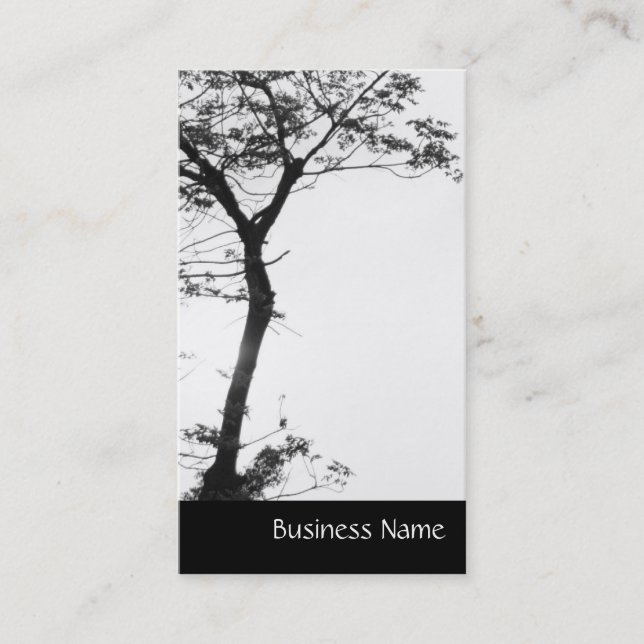 Carte De Visite Équilibre l photographie d'arbre de zen de nature (Devant)