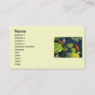 Carte De Visite Étang à poissons de Koi