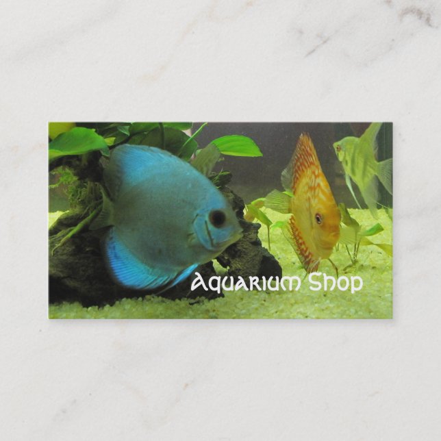 Carte de visite exotique de magasin de poissons (Devant)