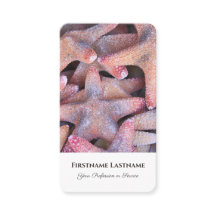 Experts de l'agent de voyage de l'étoile marine ma