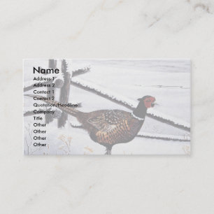 Carte De Visite faisan Anneau-étranglé