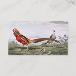 Carte De Visite Faisans peints