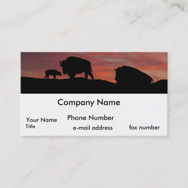 Carte De Visite Famille de bison (Devant)