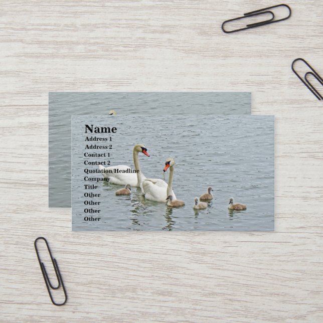 Carte De Visite Famille Mute Swan (Devant/Arrière en situation)