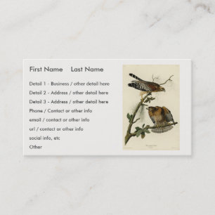 Carte De Visite Faucon à épaulettes - Audubon's Birds of America