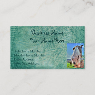 Carte De Visite Faux Green Leather & Happy Horse Design