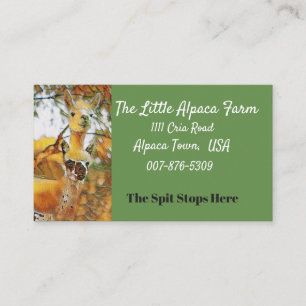 Carte De Visite Ferme d'alpaga