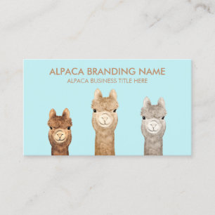 Carte De Visite Ferme de laine d'alpaca
