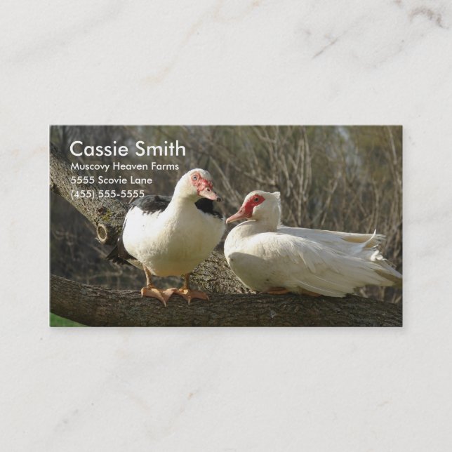 Carte De Visite Fermes du Ciel de Muscovy (Devant)