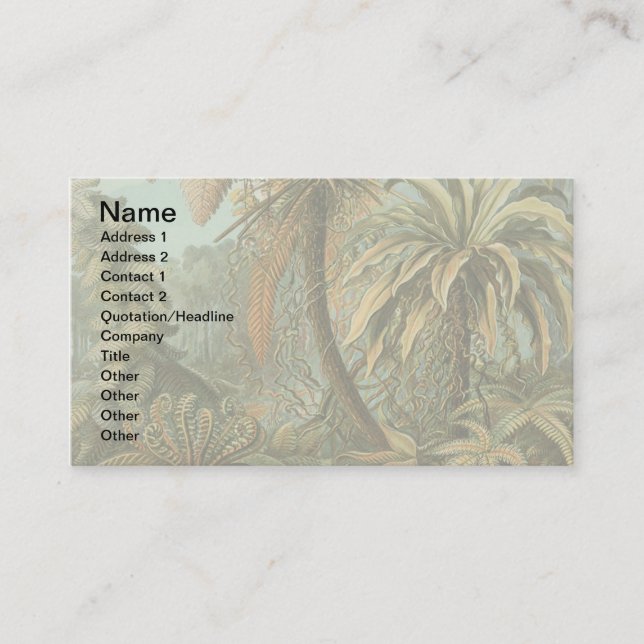 Carte De Visite Ferns Palm Tree Antiquité Botanique Ferns Art (Devant)