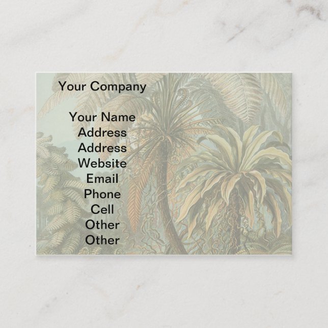 Carte De Visite Ferns Palm Tree Antiquité Botanique Ferns Art (Devant)
