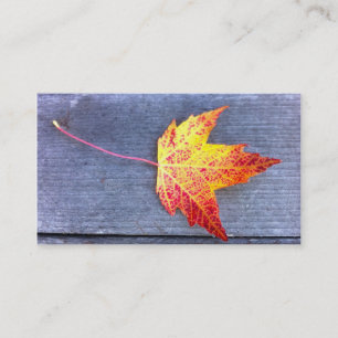 Carte De Visite Feuille d'érable d'automne