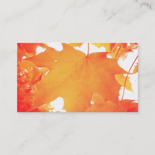 Carte De Visite Feuille d'érable teintée orange (Devant)