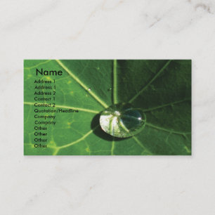 Carte De Visite Feuille verte