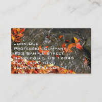 Feuilles d'automne dans la cascade I Photographie