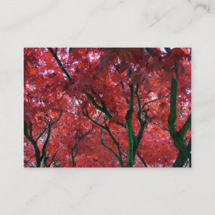 Carte De Visite feuilles d'érable rouges d'automne