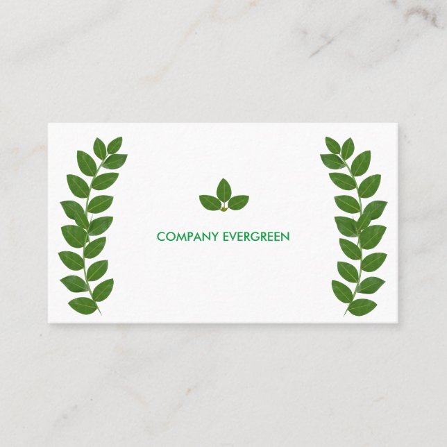 Carte De Visite Feuilles modernes de Green Bay en blanc (Devant)