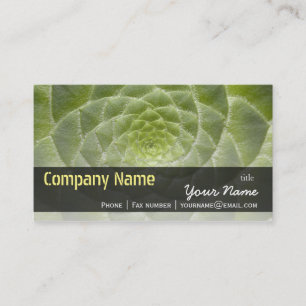 Carte De Visite Feuilles verts Aeonium Tabuliforme Modèle d'entrep