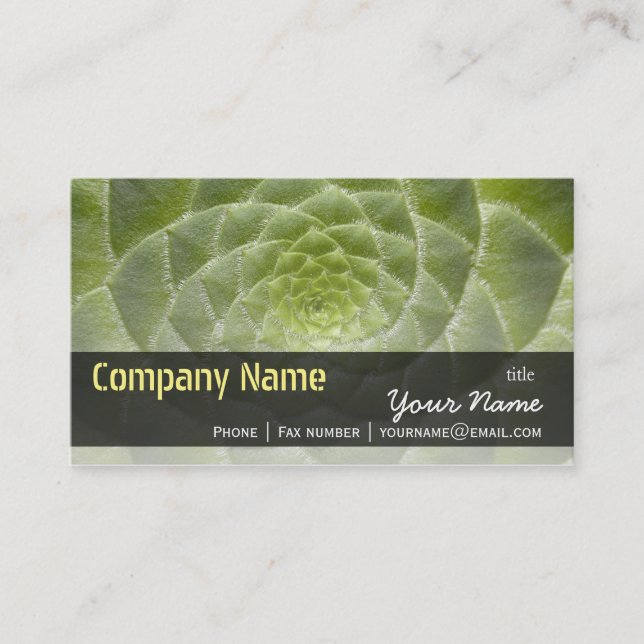 Carte De Visite Feuilles verts Aeonium Tabuliforme Modèle d'entrep (Devant)