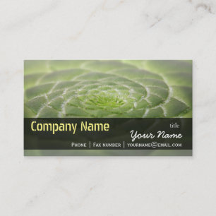 Carte De Visite Feuilles verts Aeonium Tabuliforme Modèle d'entrep