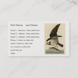 Carte De Visite Fish Hawk, Osprey, d'Audubon's Birds of America