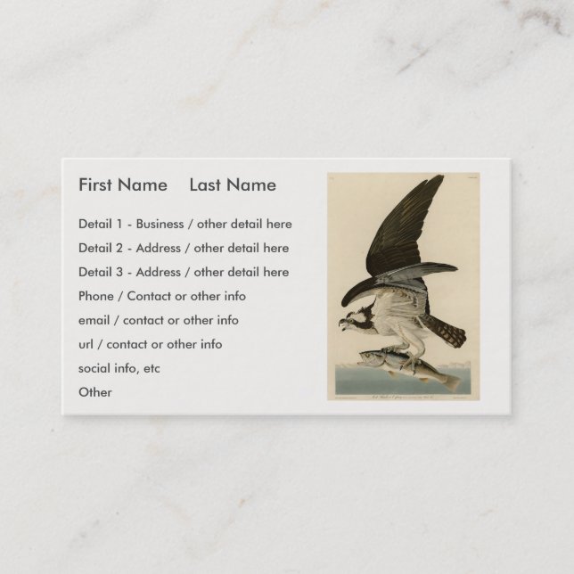 Carte De Visite Fish Hawk, Osprey, d'Audubon's Birds of America (Devant)