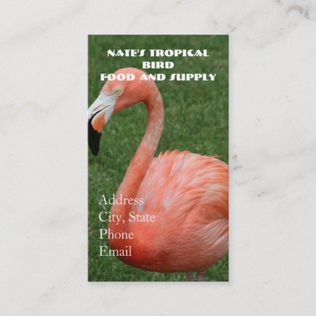 Carte De Visite Flamant rose rose (Devant)