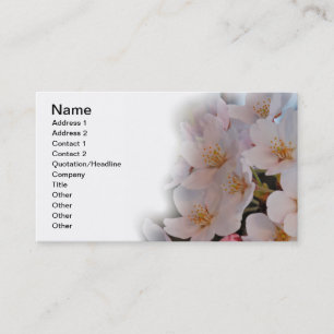 Carte De Visite Fleur de cerise