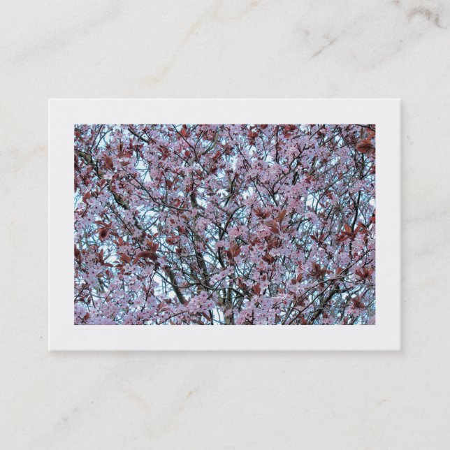 Carte De Visite Fleur de cerise (frontière) (Devant)
