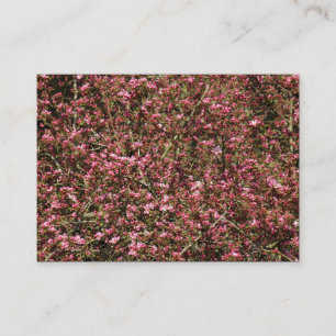 Carte De Visite Fleur de cerise rose 02