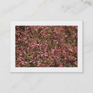 Carte De Visite Fleur de cerisier rose 02 (Bordé)